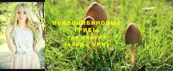 дмт Киренск