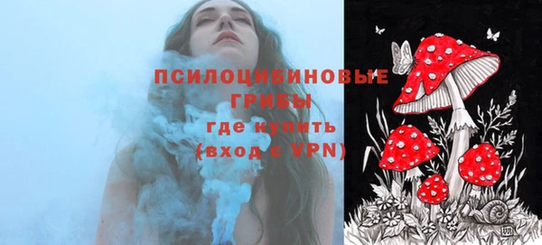 молекула духа Кинешма