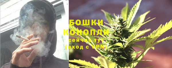 молекула духа Кинешма