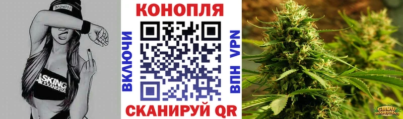 Канабис сатива  Купить закладки  Макаров 